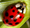 Report Bugs