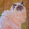 "Mysti"